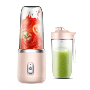 BLENDERS & MIXEURS ( MINI EXTRACTEUR)